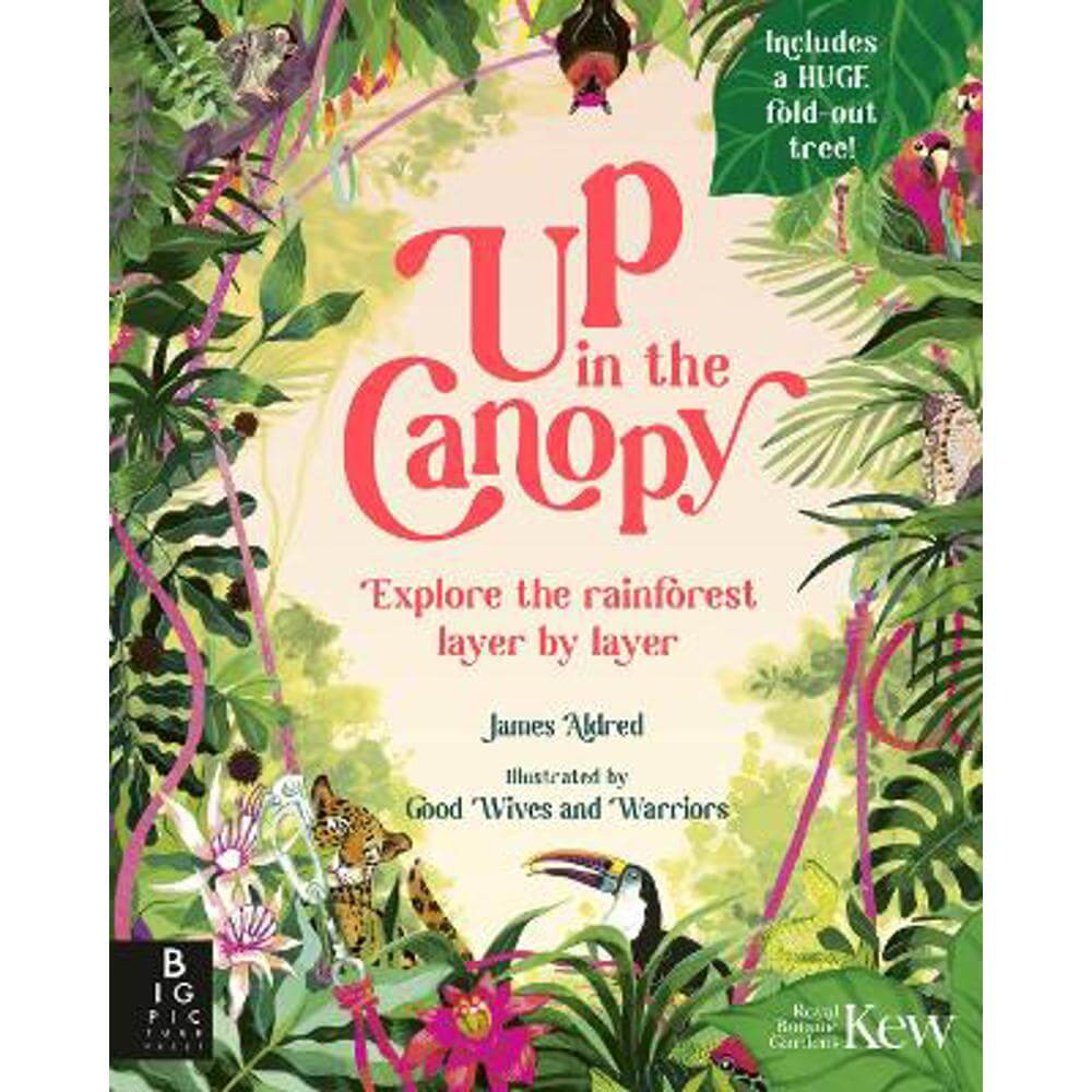 Up in the Canopy: Explore the Rainforest, Layer by Layer (Hardback) - James Aldred